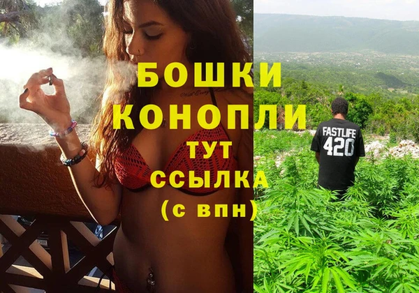 шишки Алзамай