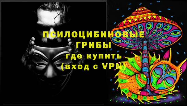 шишки Алзамай