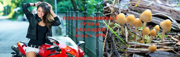 spice Алексеевка