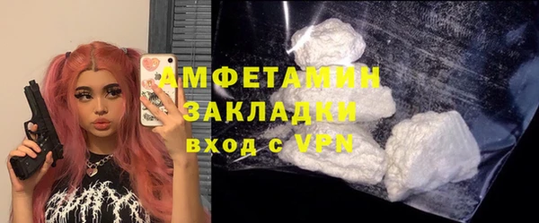 гидра Няндома