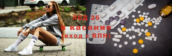 гидра Няндома