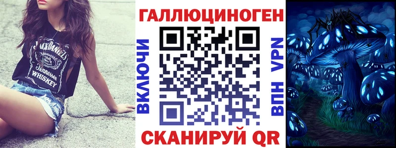 ОМГ ОМГ ссылка  Салехард  Псилоцибиновые грибы Psilocybe  как найти закладки 